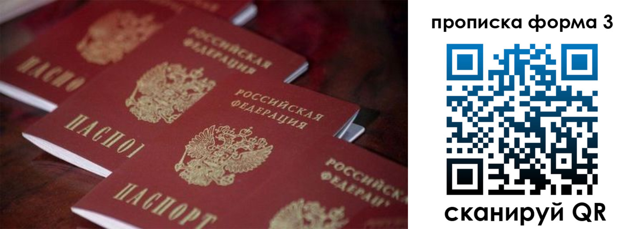 прописка паспорт в Александровске
